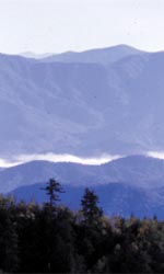 Smoky Mountains National Park Motels Riverhouse at the Park and Riverhouse Motor Lodge